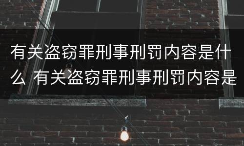 有关盗窃罪刑事刑罚内容是什么 有关盗窃罪刑事刑罚内容是什么呢