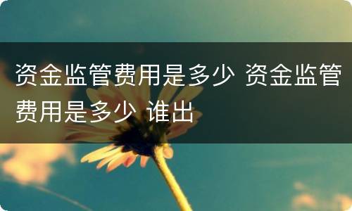 资金监管费用是多少 资金监管费用是多少 谁出
