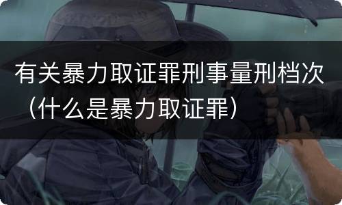 有关暴力取证罪刑事量刑档次（什么是暴力取证罪）