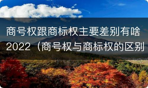 商号权跟商标权主要差别有啥2022（商号权与商标权的区别）