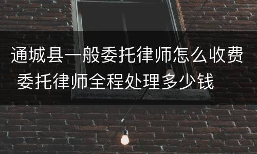 通城县一般委托律师怎么收费 委托律师全程处理多少钱