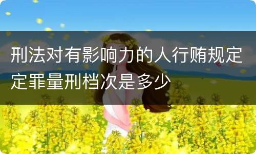 刑法对有影响力的人行贿规定定罪量刑档次是多少