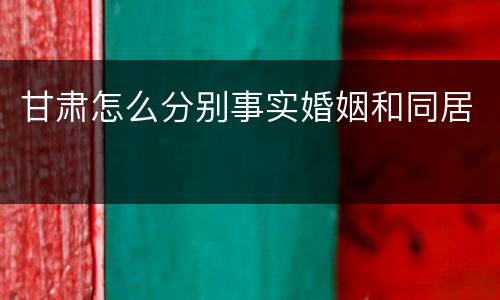 甘肃怎么分别事实婚姻和同居
