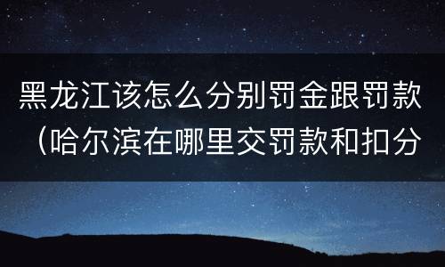 黑龙江该怎么分别罚金跟罚款（哈尔滨在哪里交罚款和扣分）