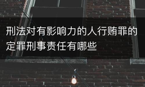 刑法对有影响力的人行贿罪的定罪刑事责任有哪些