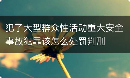 犯了大型群众性活动重大安全事故犯罪该怎么处罚判刑