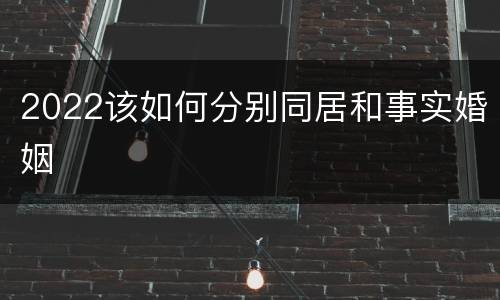 2022该如何分别同居和事实婚姻