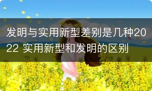发明与实用新型差别是几种2022 实用新型和发明的区别