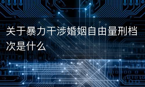 关于暴力干涉婚姻自由量刑档次是什么
