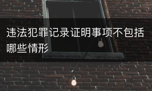 违法犯罪记录证明事项不包括哪些情形