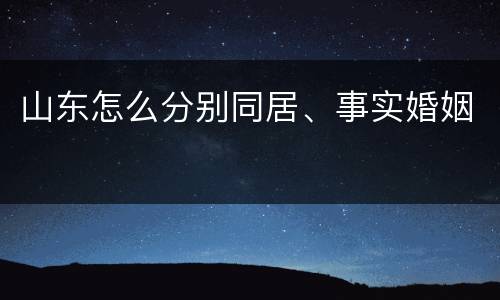 山东怎么分别同居、事实婚姻