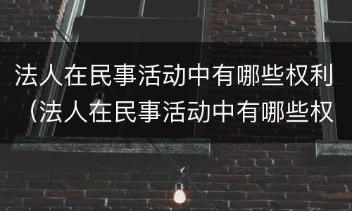 法人在民事活动中有哪些权利（法人在民事活动中有哪些权利和义务）
