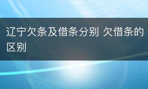 辽宁欠条及借条分别 欠借条的区别