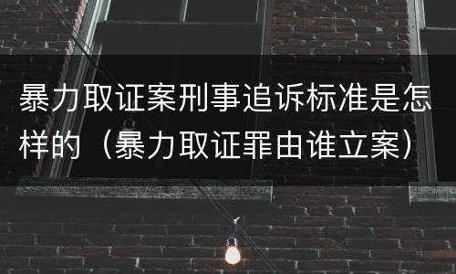 暴力取证案刑事追诉标准是怎样的（暴力取证罪由谁立案）