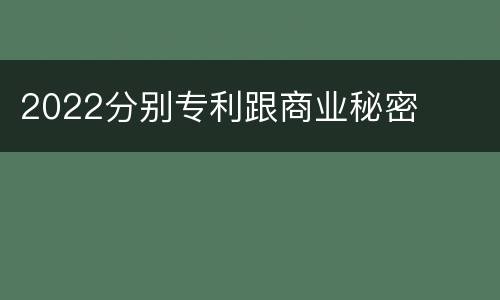 2022分别专利跟商业秘密