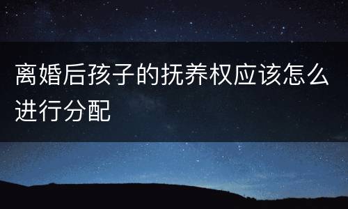 离婚后孩子的抚养权应该怎么进行分配