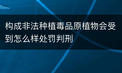 构成非法种植毒品原植物会受到怎么样处罚判刑