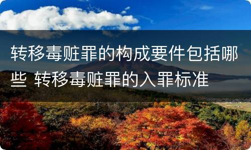 转移毒赃罪的构成要件包括哪些 转移毒赃罪的入罪标准