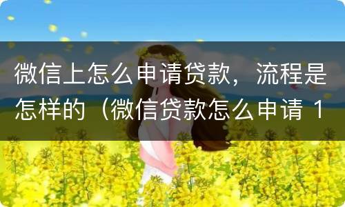 微信上怎么申请贷款，流程是怎样的（微信贷款怎么申请 192.168.0.1）