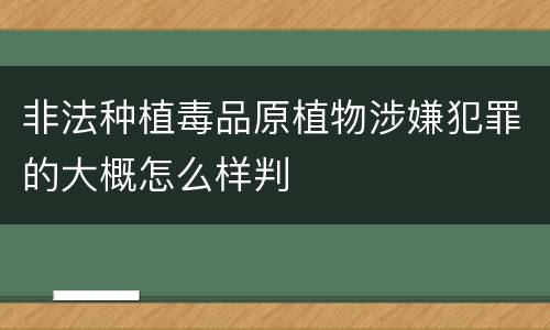 非法种植毒品原植物涉嫌犯罪的大概怎么样判