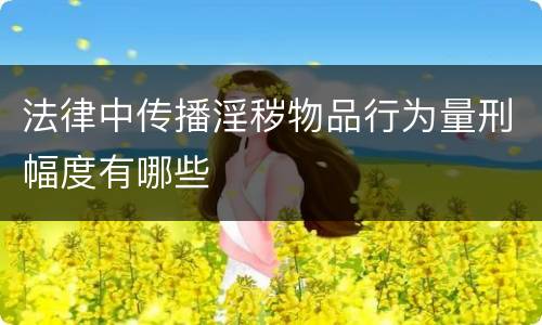 法律中传播淫秽物品行为量刑幅度有哪些