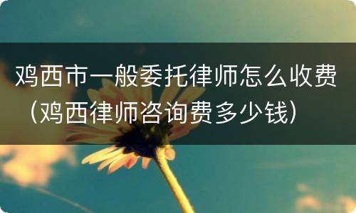 鸡西市一般委托律师怎么收费（鸡西律师咨询费多少钱）