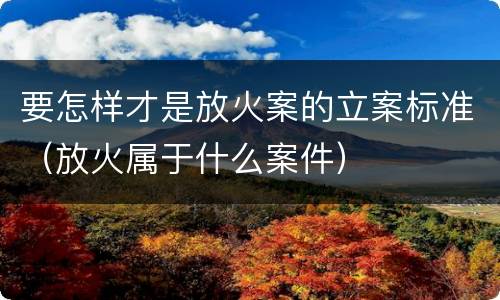 要怎样才是放火案的立案标准（放火属于什么案件）