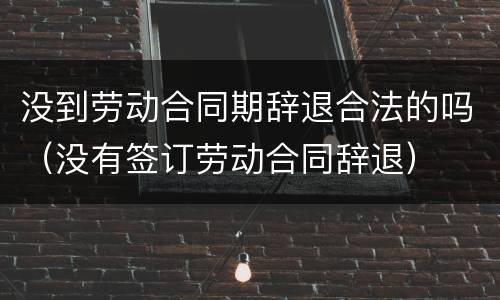 没到劳动合同期辞退合法的吗（没有签订劳动合同辞退）