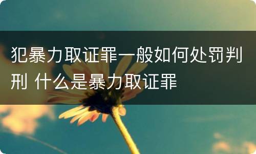 犯暴力取证罪一般如何处罚判刑 什么是暴力取证罪