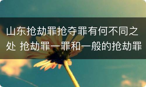 山东抢劫罪抢夺罪有何不同之处 抢劫罪一罪和一般的抢劫罪