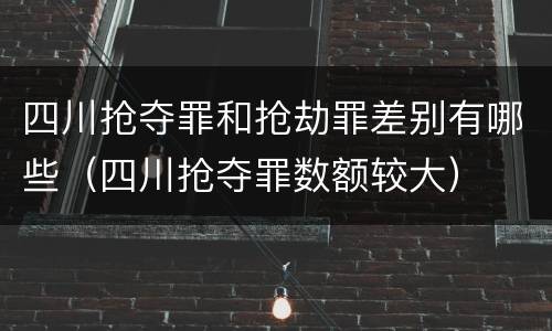 四川抢夺罪和抢劫罪差别有哪些（四川抢夺罪数额较大）