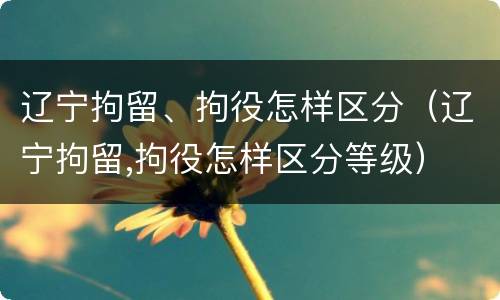 辽宁拘留、拘役怎样区分（辽宁拘留,拘役怎样区分等级）