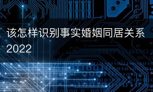 该怎样识别事实婚姻同居关系2022