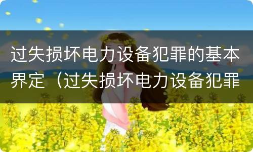 过失损坏电力设备犯罪的基本界定（过失损坏电力设备犯罪的基本界定包括）