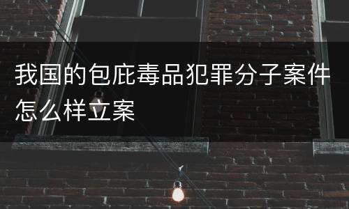 我国的包庇毒品犯罪分子案件怎么样立案