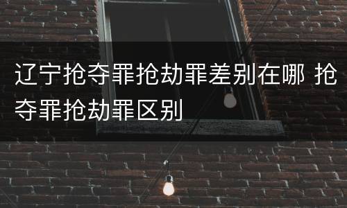 辽宁抢夺罪抢劫罪差别在哪 抢夺罪抢劫罪区别
