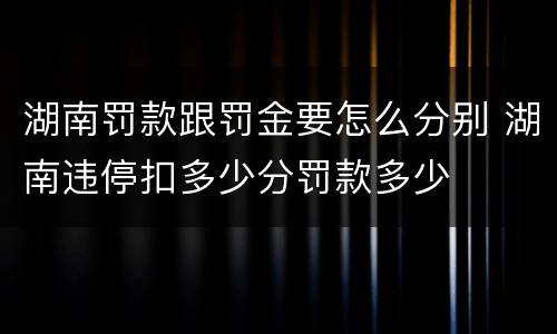 湖南罚款跟罚金要怎么分别 湖南违停扣多少分罚款多少