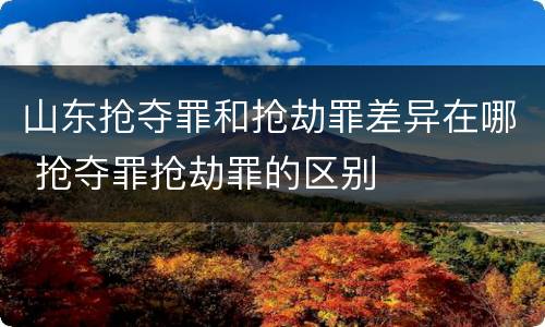 山东抢夺罪和抢劫罪差异在哪 抢夺罪抢劫罪的区别