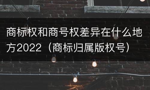 商标权和商号权差异在什么地方2022（商标归属版权号）