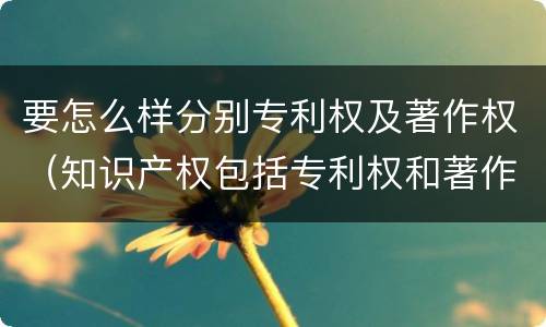 要怎么样分别专利权及著作权（知识产权包括专利权和著作权吗）
