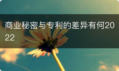 商业秘密与专利的差异有何2022