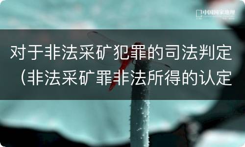 对于非法采矿犯罪的司法判定（非法采矿罪非法所得的认定）