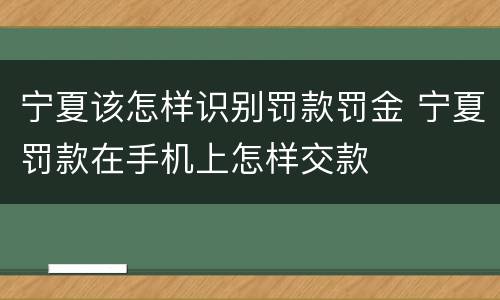 宁夏该怎样识别罚款罚金 宁夏罚款在手机上怎样交款