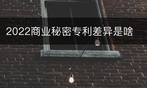 2022商业秘密专利差异是啥
