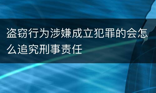 盗窃行为涉嫌成立犯罪的会怎么追究刑事责任