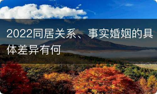 2022同居关系、事实婚姻的具体差异有何
