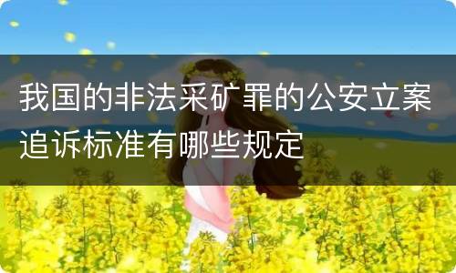 我国的非法采矿罪的公安立案追诉标准有哪些规定