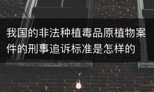 我国的非法种植毒品原植物案件的刑事追诉标准是怎样的