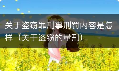 关于盗窃罪刑事刑罚内容是怎样（关于盗窃的量刑）