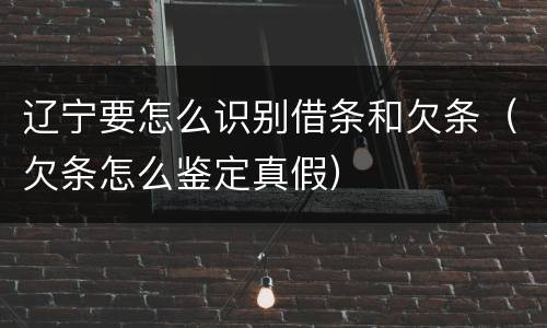 辽宁要怎么识别借条和欠条（欠条怎么鉴定真假）